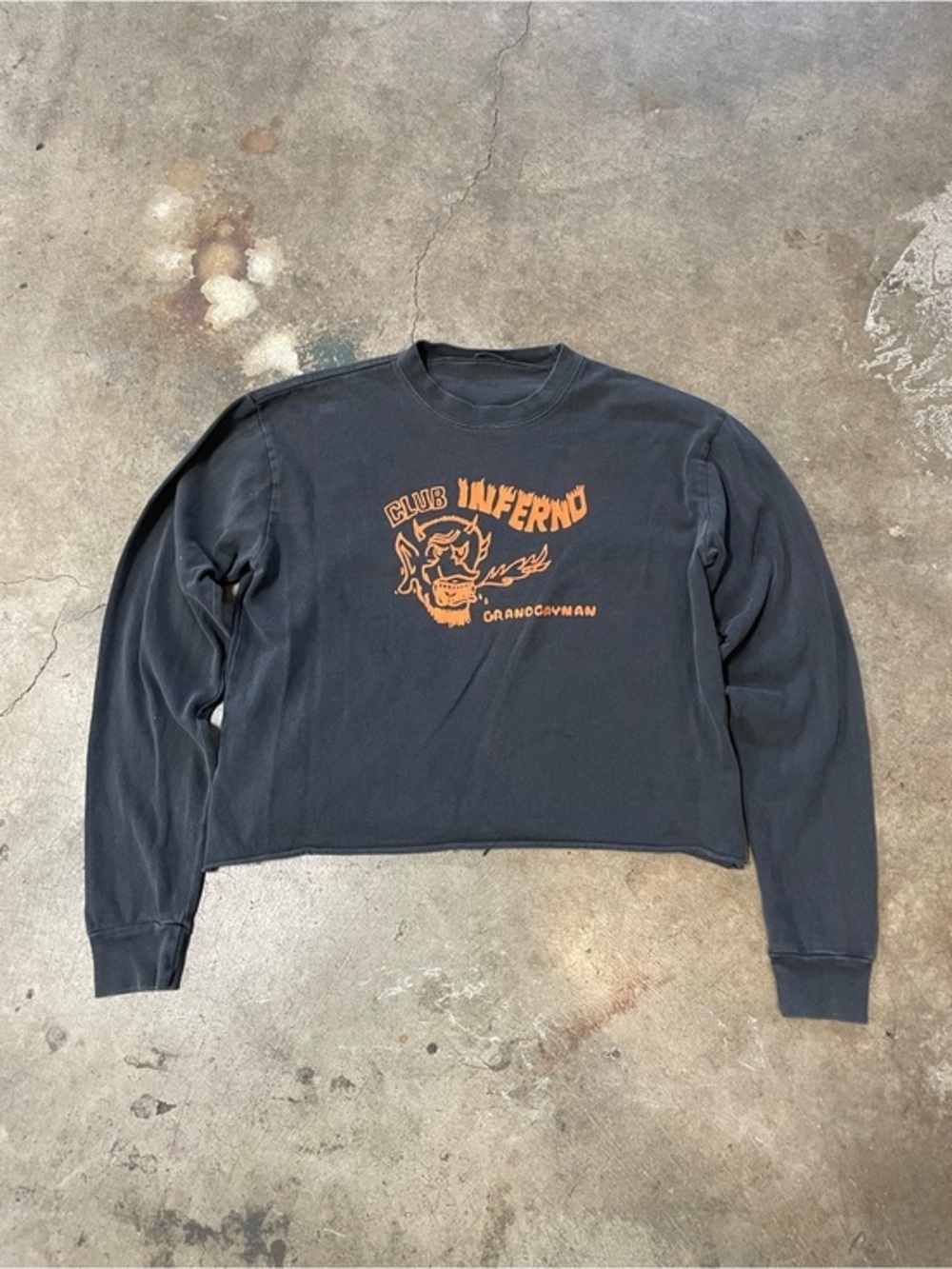 Brandy Melville John Galt Graphic Longsleeve Shirt